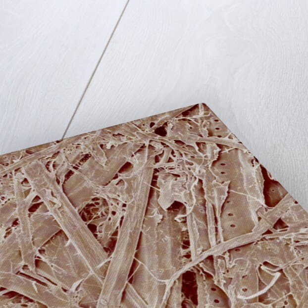 Magazine paper by Anonymous