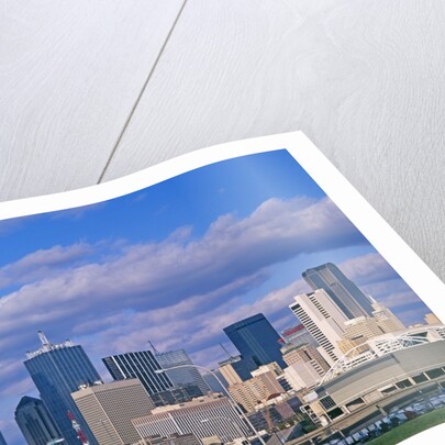 Dallas skyline by Anonymous