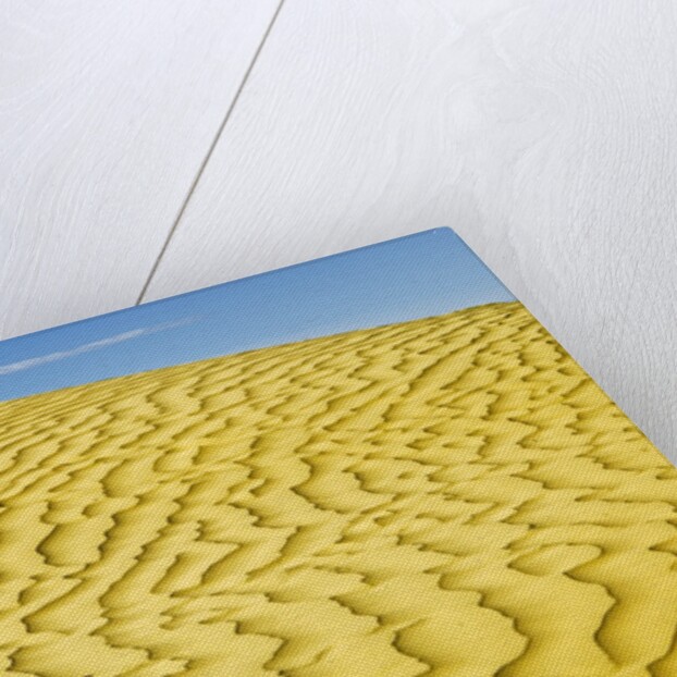 Pattern in sand dunes by Anonymous