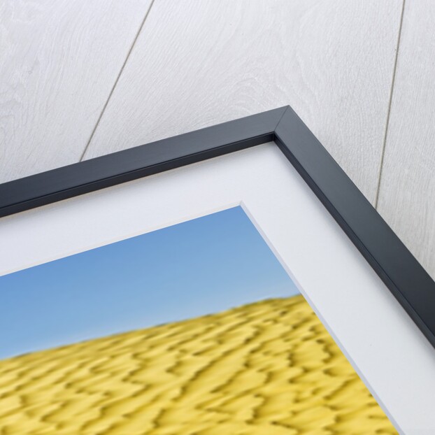 Pattern in sand dunes by Anonymous