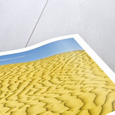 Pattern in sand dunes by Anonymous