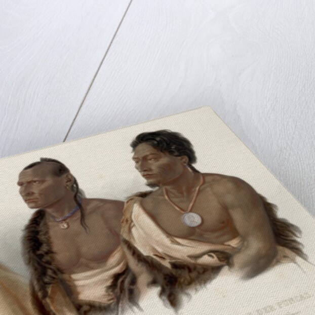 Missouri Indian, Oto Indian, Chief of the Puncas by Karl Bodmer