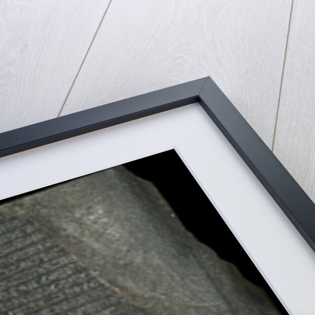 Rosetta Stone by Anonymous