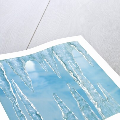 Icicles by Anonymous