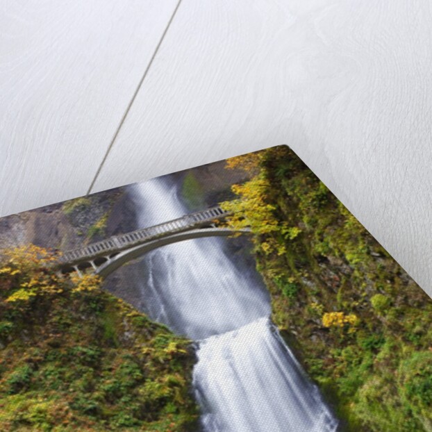 Lower half of Multnomah Falls by Anonymous