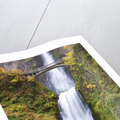 Lower half of Multnomah Falls by Anonymous