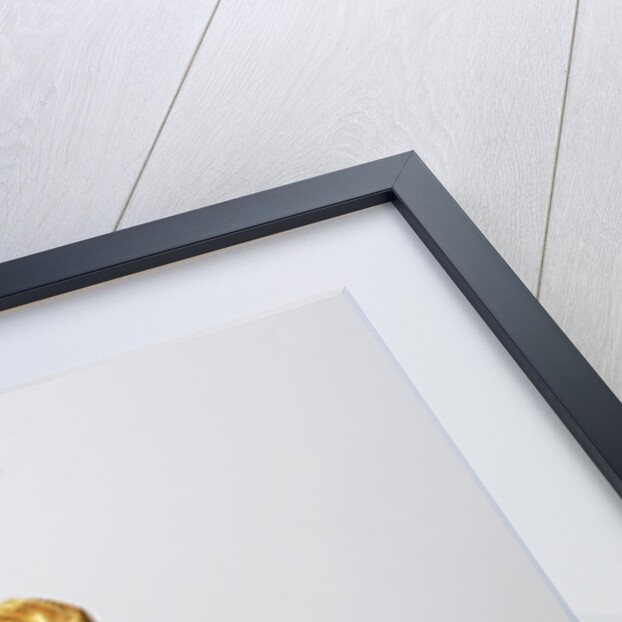 Gold plaque in the shape of a lion by Anonymous