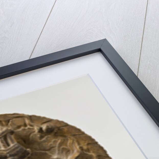 Northern Qi Dynasty stele with Twin-Bodhisattvas by Anonymous