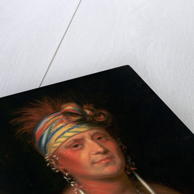 Monchousia (White Plume) by Charles Bird King