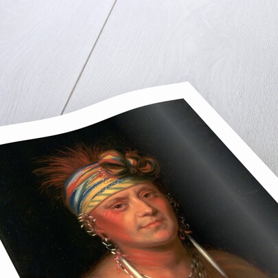 Monchousia (White Plume) by Charles Bird King