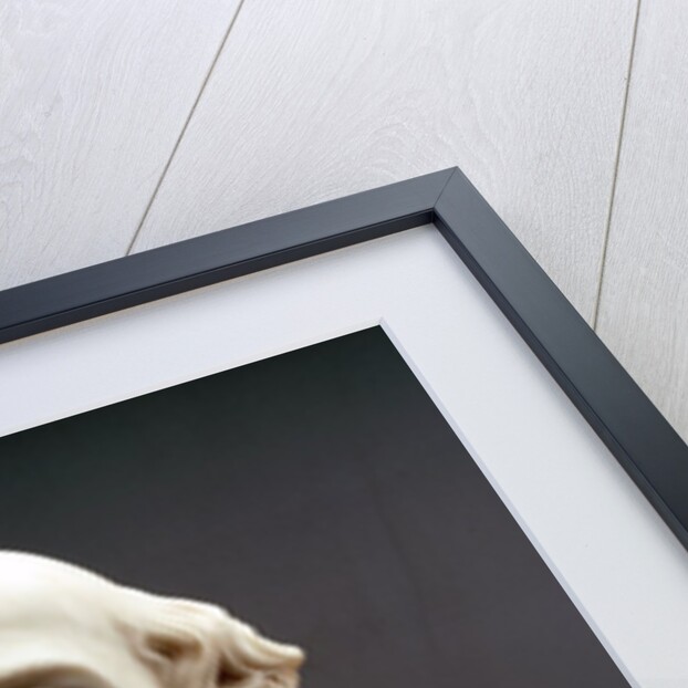 Bust sculpture of Amerigo Vespucci by Giuseppe Ceracchi