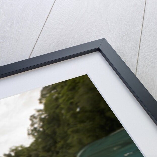 Saltwater Crocodile swimming with its head just above the surface (Crocodylus porosus) by Anonymous