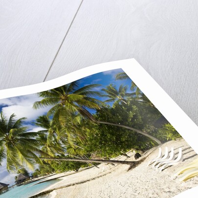 Huts at Matira Beach, Bora Bora Island by Anonymous