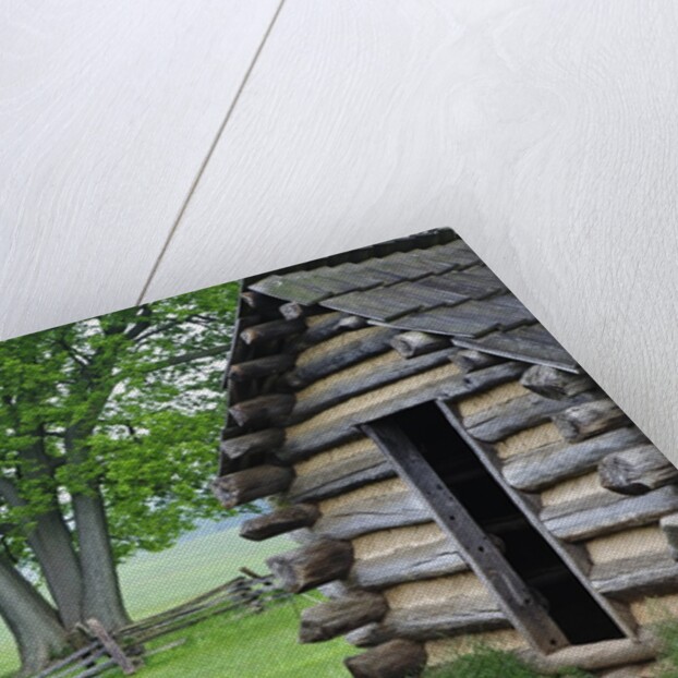 Cabin in Valley Forge National Historic Park by Anonymous