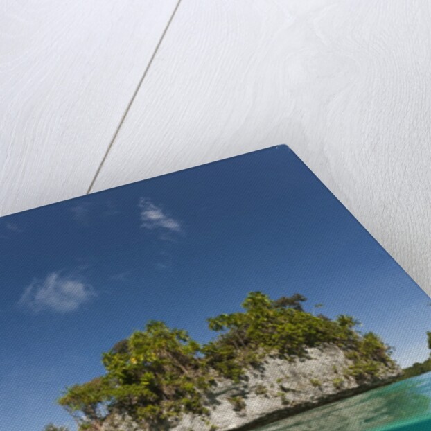 Small island off Palau, Micronesia by Anonymous