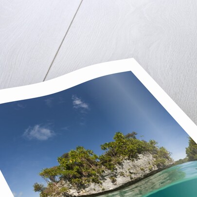 Small island off Palau, Micronesia by Anonymous