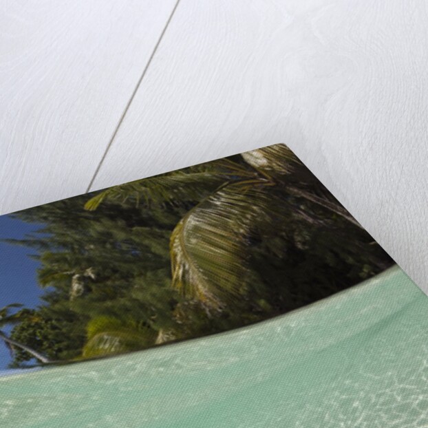 Lagoon and Palm-lined Beach, Micronesia, Palau by Anonymous