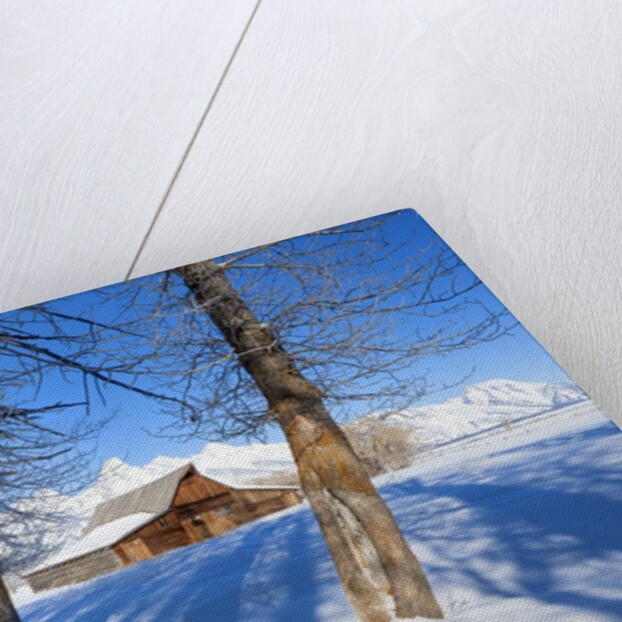 Barn below Teton Range in winter by Anonymous