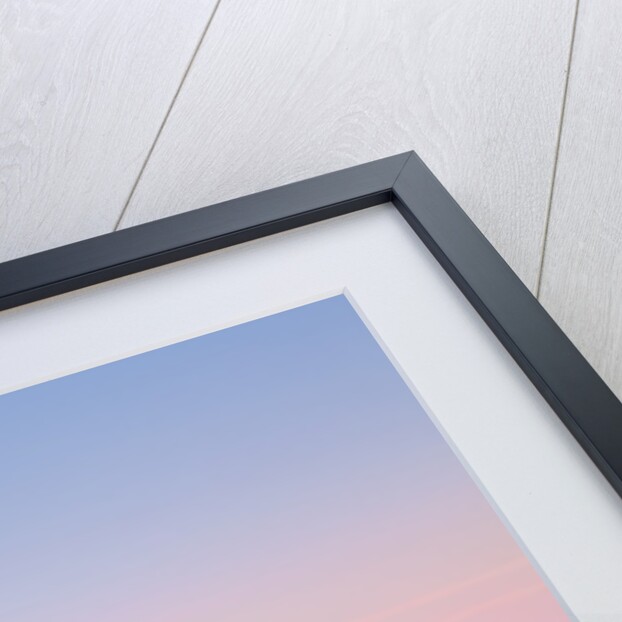 Oxbow Bend in Grand Teton National Park in winter by Anonymous