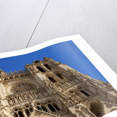 Notre-Dame d'Amiens Cathedral by Anonymous