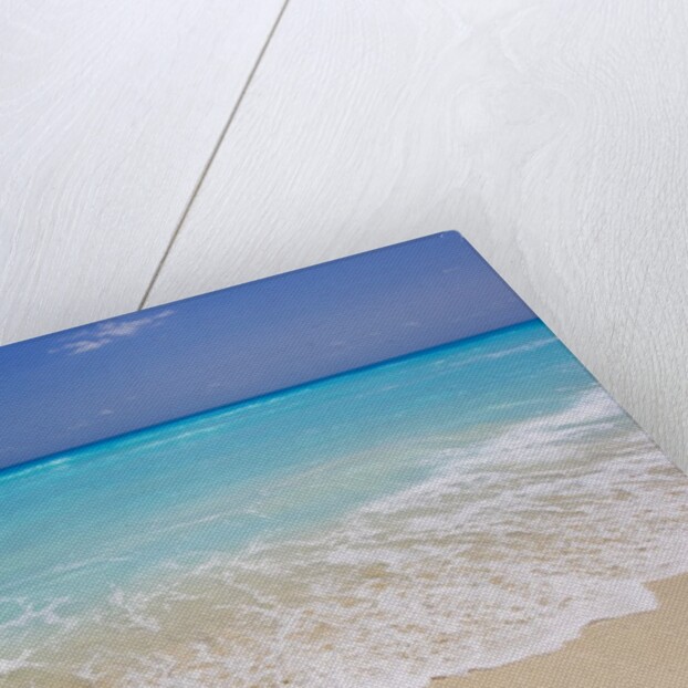 White sand beach in Cancun by Anonymous