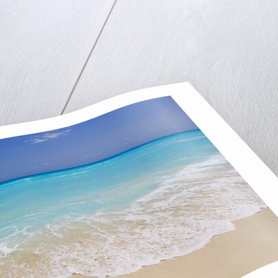 White sand beach in Cancun by Anonymous