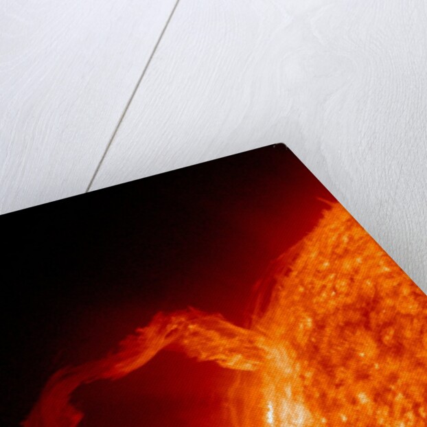 Solar flare on the Sun by Anonymous