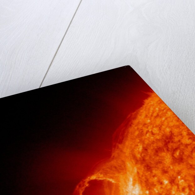 Solar flare on the Sun by Anonymous