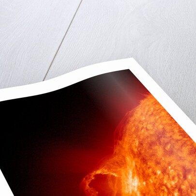 Solar flare on the Sun by Anonymous