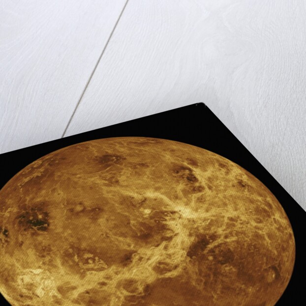 Venus by Anonymous