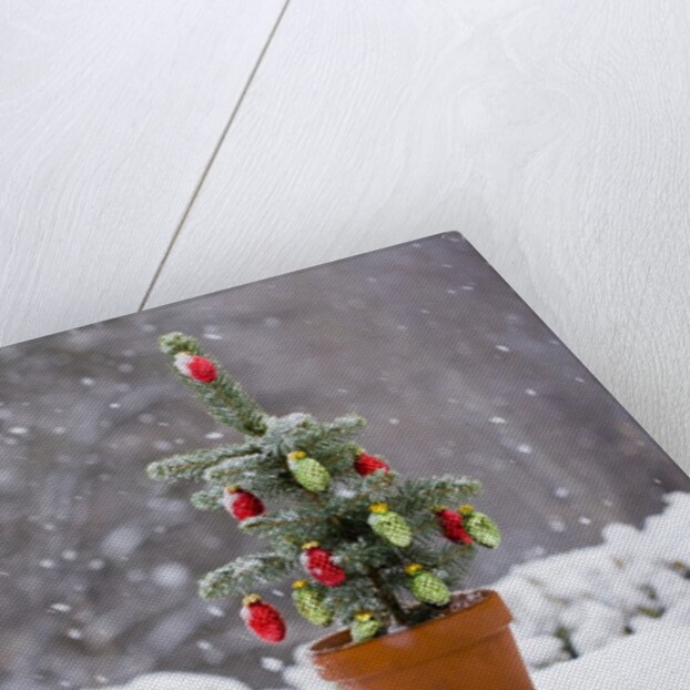 Small Christmas tree by Anonymous