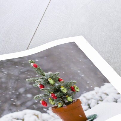 Small Christmas tree by Anonymous