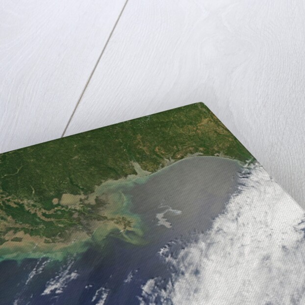Oil spill from damaged well in Gulf of Mexico by Anonymous