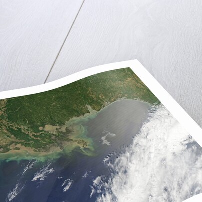 Oil spill from damaged well in Gulf of Mexico by Anonymous