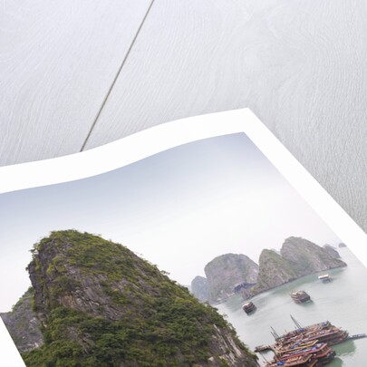 Boats in Halong Bay in Vietnam by Anonymous