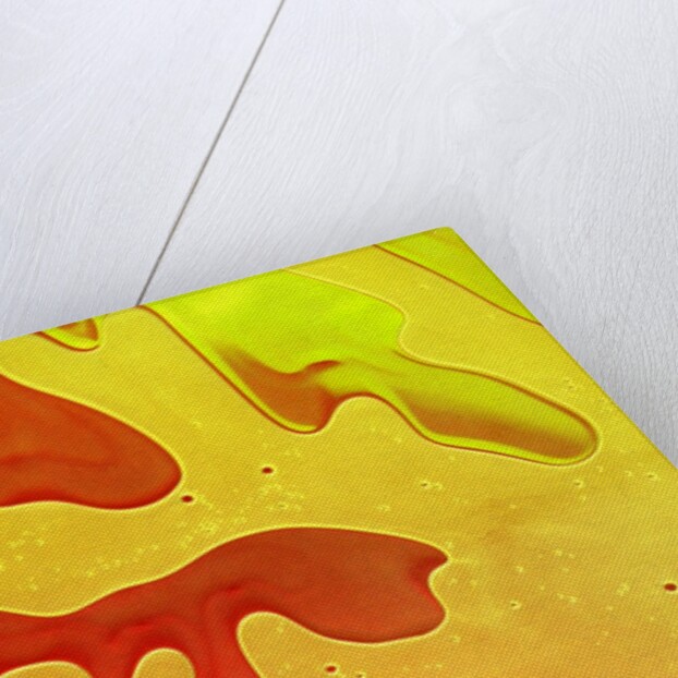 Shampoo taking on a coral-like form by Anonymous