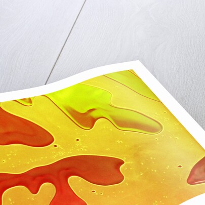 Shampoo taking on a coral-like form by Anonymous
