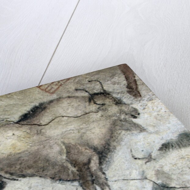 Replica of cave painting of bison from Altamira cave by Anonymous
