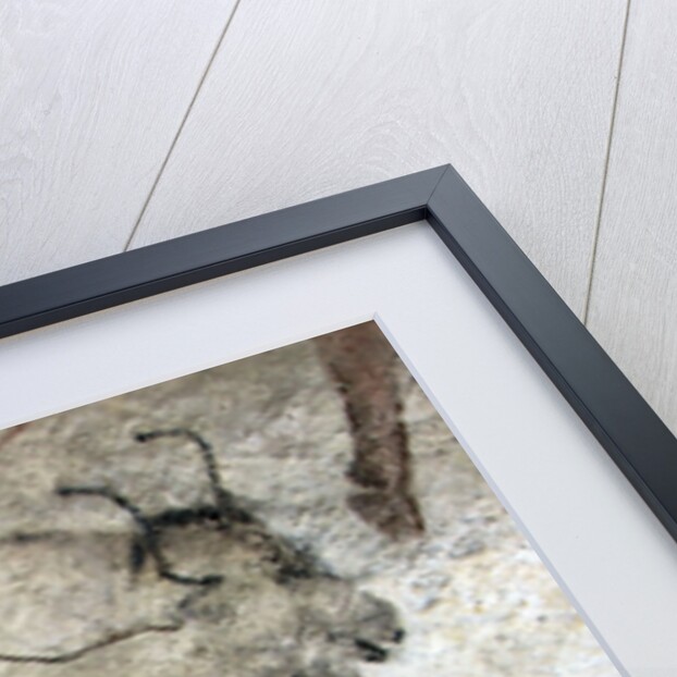 Replica of cave painting of bison from Altamira cave by Anonymous