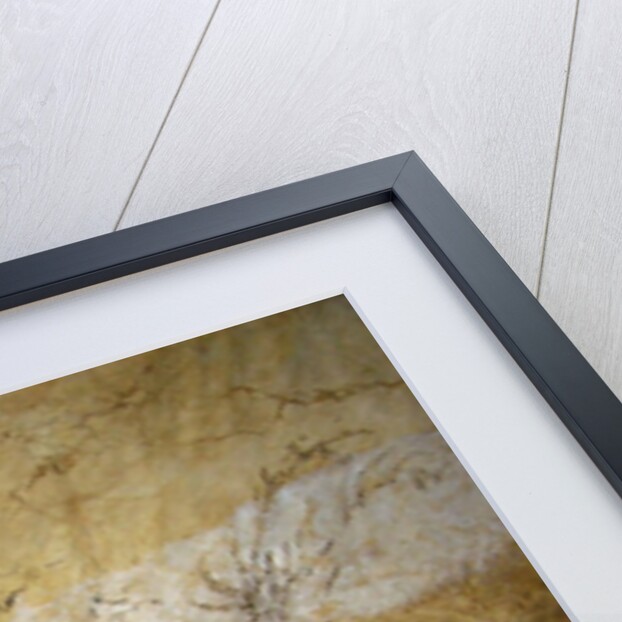 Cave painting of swimming stags at Lascaux by Anonymous