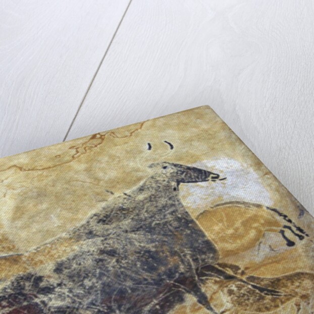 Black cow cave painting at Lascaux by Anonymous