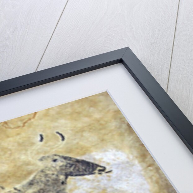 Black cow cave painting at Lascaux by Anonymous