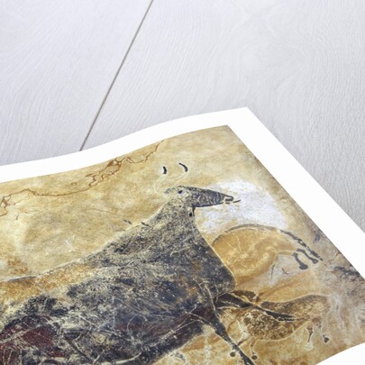 Black cow cave painting at Lascaux by Anonymous