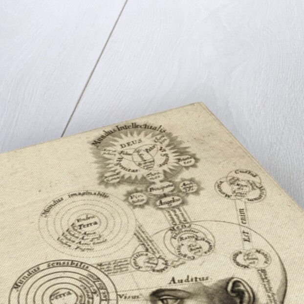 Illustration of human thought by Anonymous