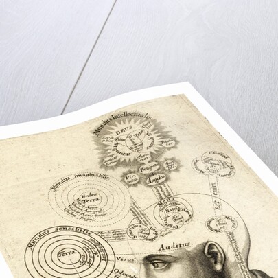 Illustration of human thought by Anonymous