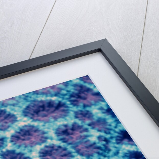 Fluorescing Hard Coral, Komodo National Park, Indian Ocean. (Compare with 438802) by Anonymous