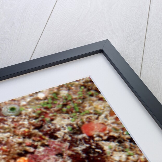 Red-mesh Starfish (Fromia monilis), Indian Ocean. by Anonymous