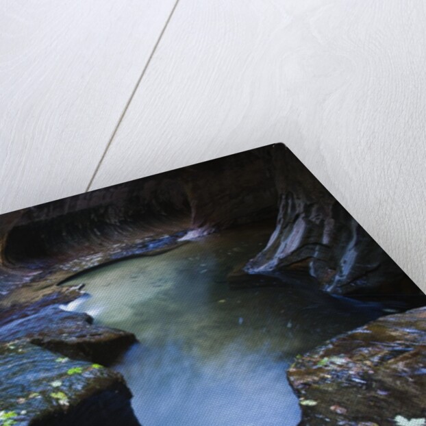 The Subway slot canyon by Anonymous