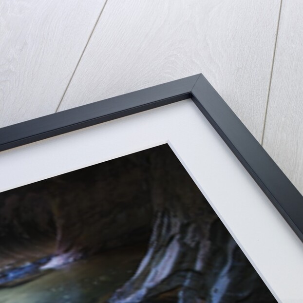 The Subway slot canyon by Anonymous