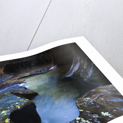 The Subway slot canyon by Anonymous